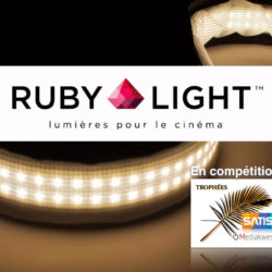 Rubilight Trophees.001.jpg