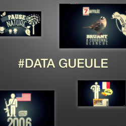 DATA GUEULE.001.jpg