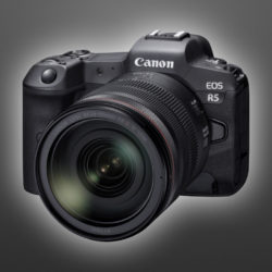 CanonEOSR5001.jpeg