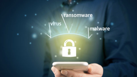 Lire la suite à propos de l’article Piratage internet, quelles tendances par secteur et par région ?