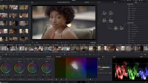Lire la suite à propos de l’article Devenez un expert DaVinci Resolve !