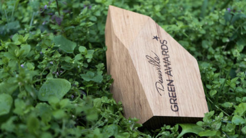 Lire la suite à propos de l’article Les Deauville Green Awards prolongent leur appel à films !