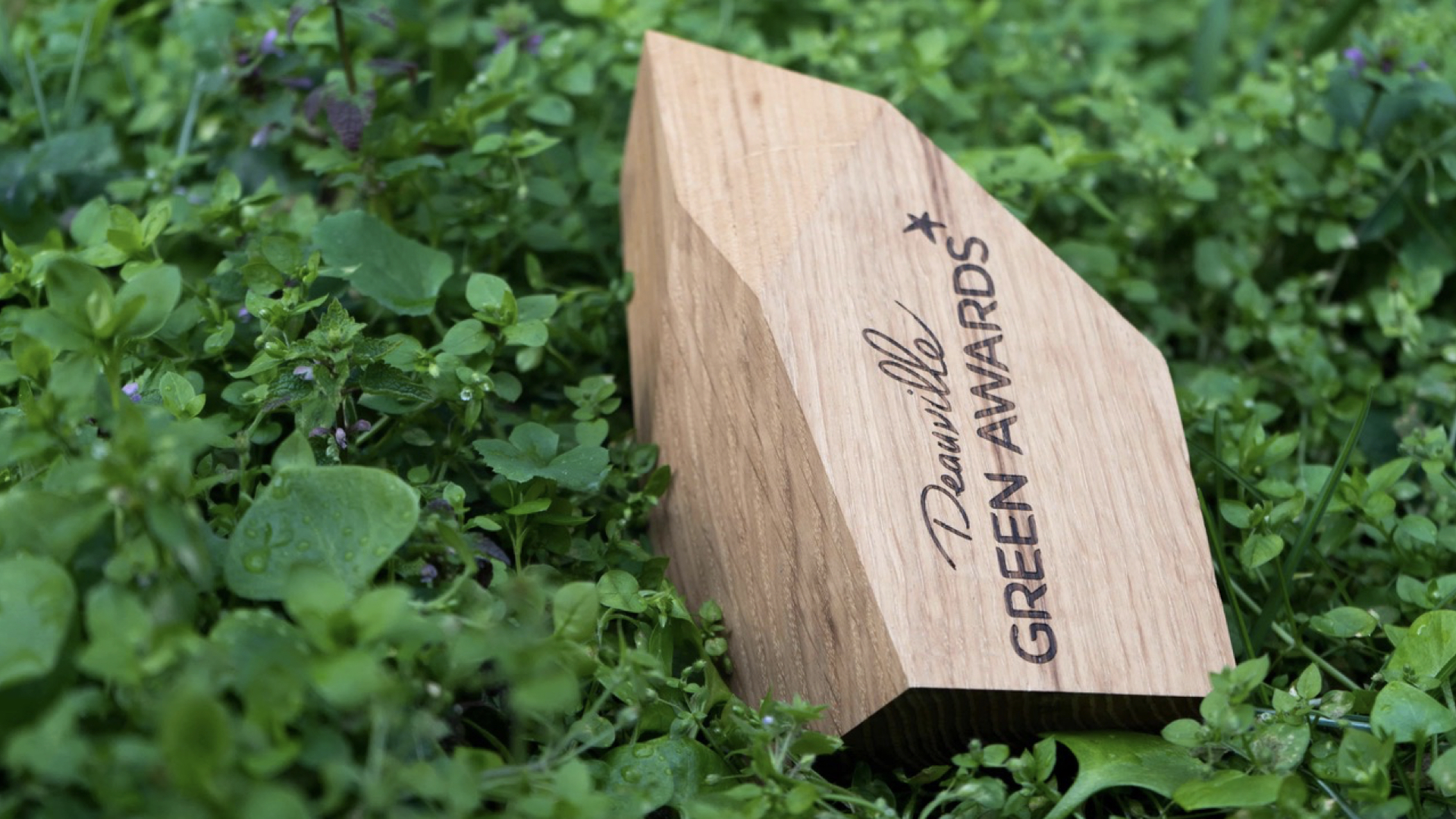 You are currently viewing Les Deauville Green Awards prolongent leur appel à films !