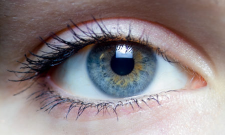 Lire la suite à propos de l’article Calibration des écrans et des vidéoprojecteurs : focus théoriques (Partie 1.1)