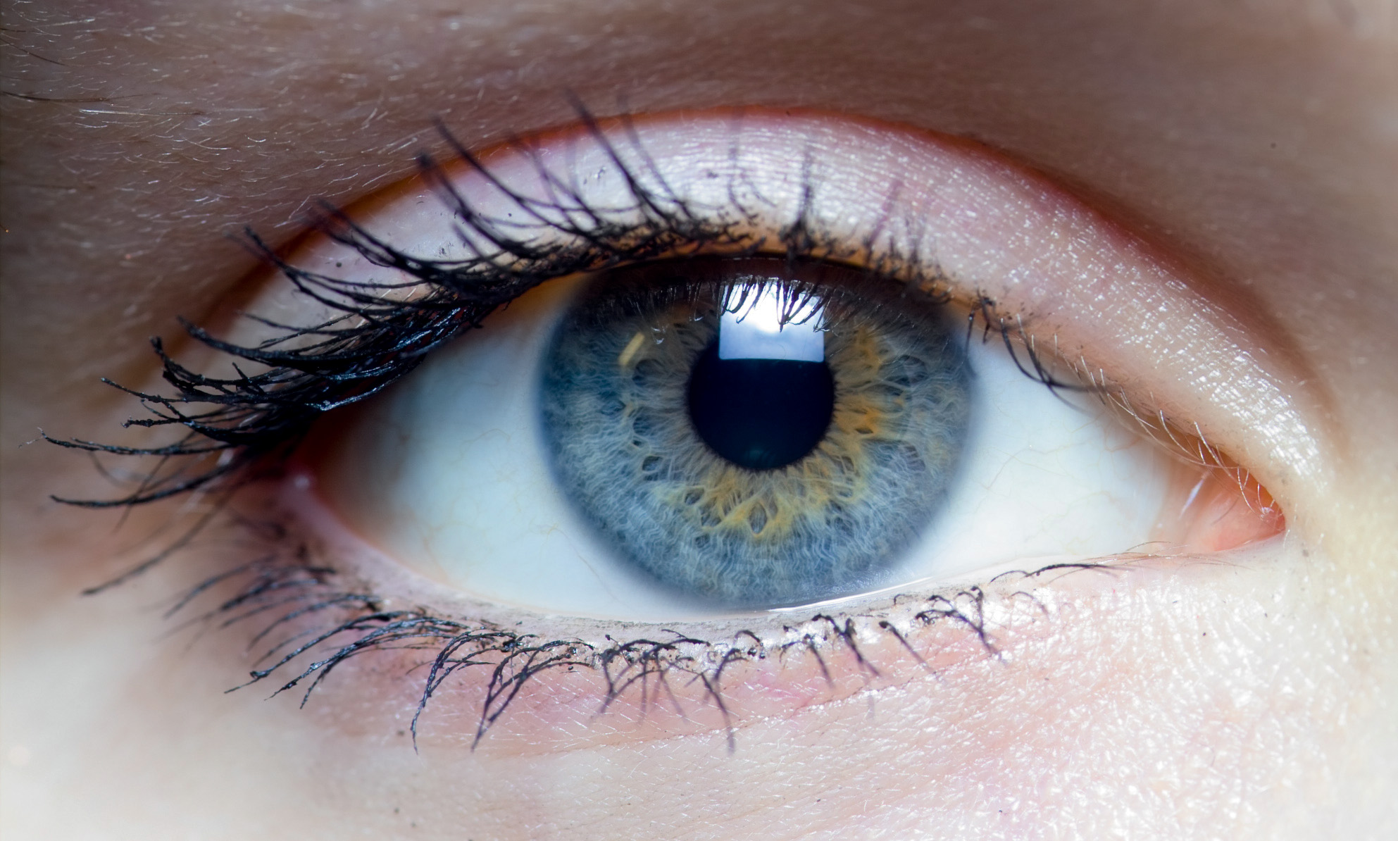 Lire la suite à propos de l’article Calibration des écrans et des vidéoprojecteurs : focus théoriques (Partie 1.1)