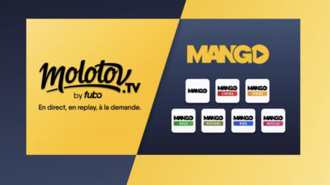 Lire la suite à propos de l’article Molotov lance 7 chaînes thématiques sur le modèle FAST