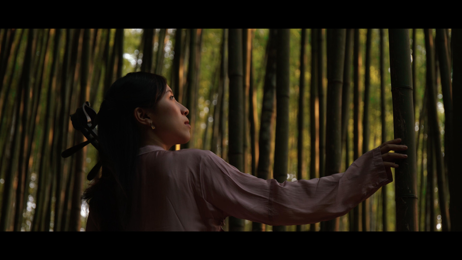 Lire la suite à propos de l’article Dans les coulisses de « Once Upon a Bridge in Vietnam », documentaire multi-récompensé