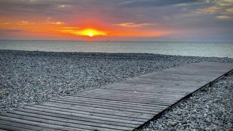 Lire la suite à propos de l’article Quelques conseils de lecture pendant notre pause estivale…