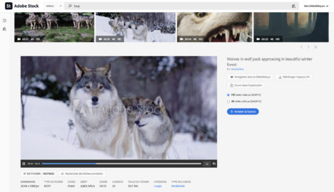 Lire la suite à propos de l’article Tour d’horizon des images de stock