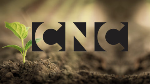 Lire la suite à propos de l’article Les aides du CNC bientôt assujetties à l&rsquo;écoresponsabilité