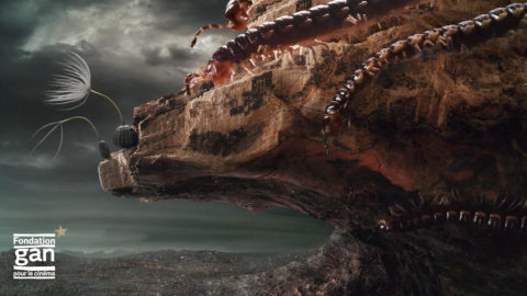 Lire la suite à propos de l’article Aide à la Création de la fondation Gan, les cinq lauréats 2022…