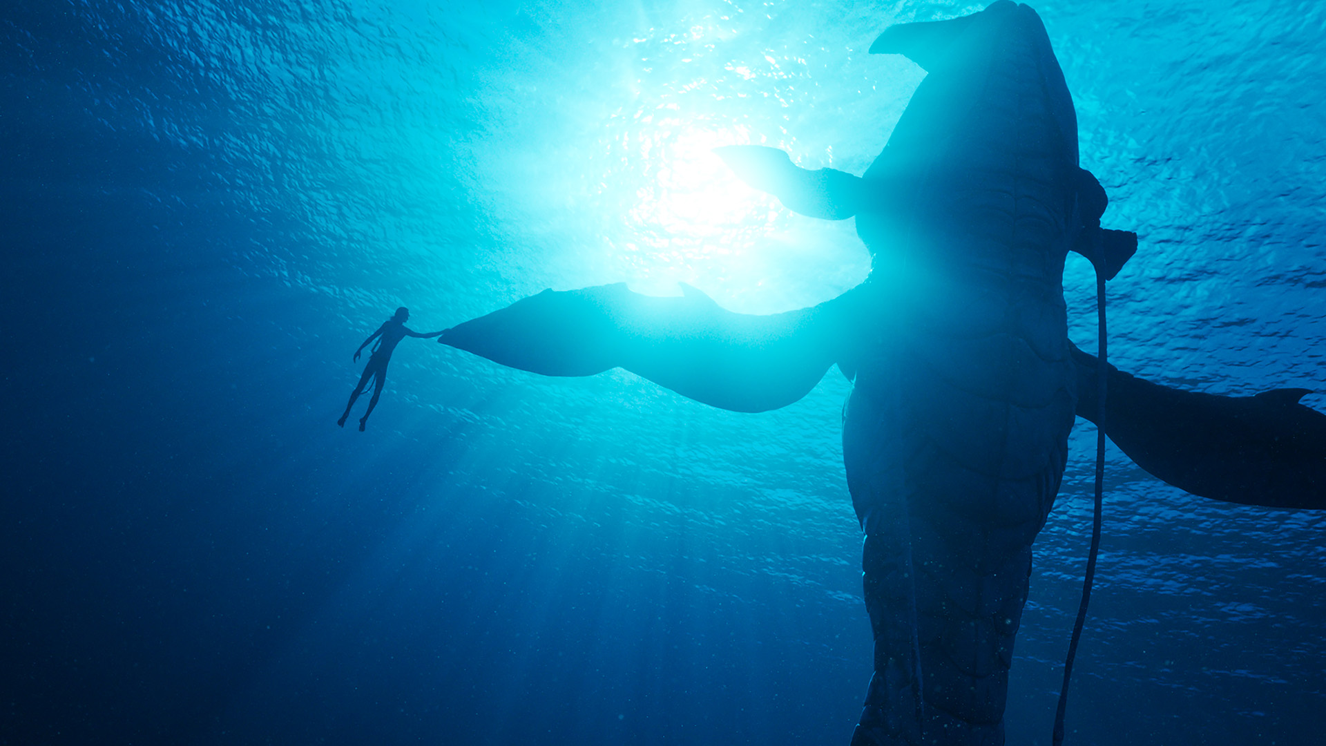 You are currently viewing Les outils de Wētā Digital au service des VFX