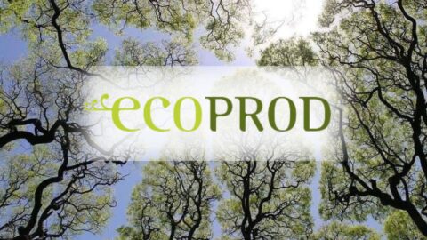 Lire la suite à propos de l’article Deuxième édition du Prix Ecoprod à Cannes !