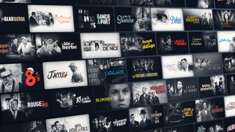 Lire la suite à propos de l’article Entre Netflix et Amazon Prime, quelle place pour les plates-formes françaises ?