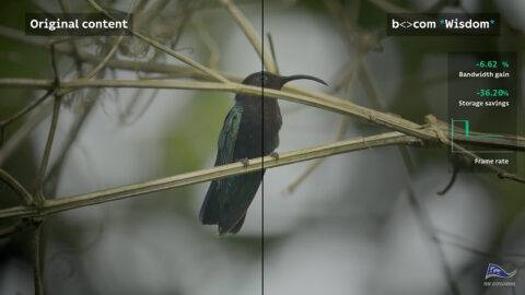 Lire la suite à propos de l’article IBC 2023 – Quoi de neuf en matière d’encodage, de traitement et de 5G ?