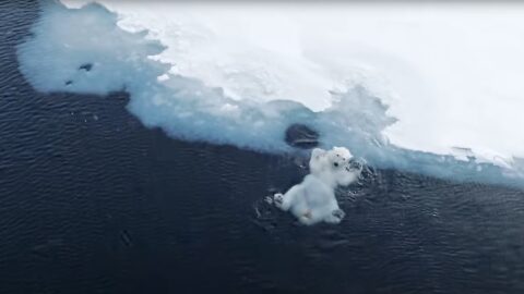 Lire la suite à propos de l’article Des drones pour traduire l’obsession polaire de Florian Ledoux