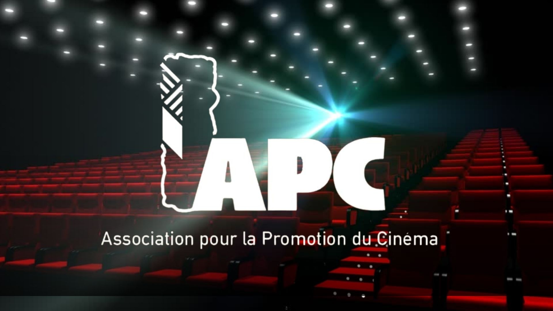 Lire la suite à propos de l’article Le bureau de l&rsquo;Association pour la Promotion du Cinéma accueille 17 membres de la CST