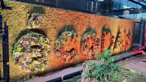 Lire la suite à propos de l’article France Télévisions ne reste pas de glace face au défi climatique !