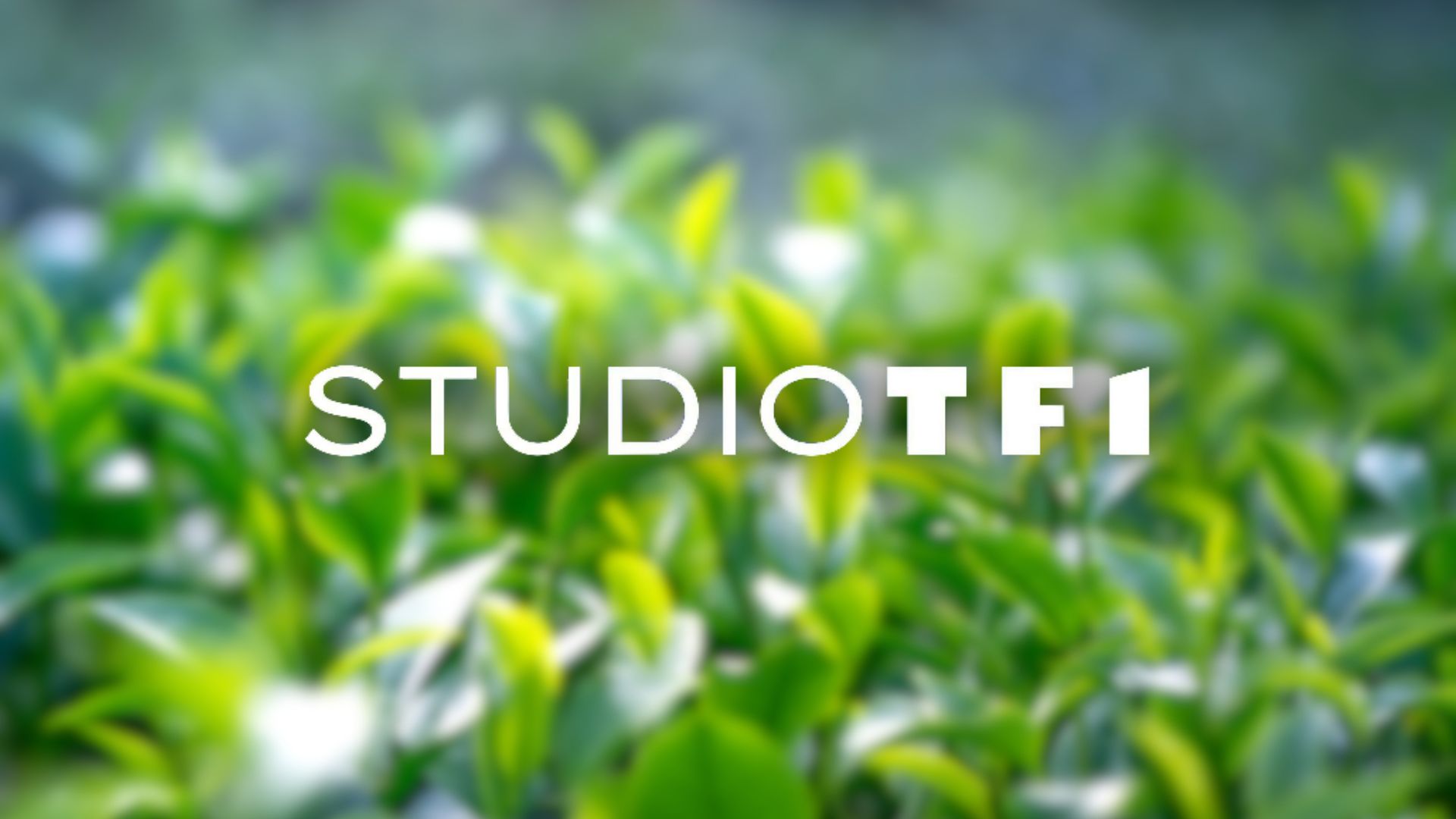 Lire la suite à propos de l’article Studio TF1 passe au vert avec une formation immersive !