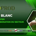 es diffuseurs membres d’Ecoprod adoptent un référentiel méthodologique inédit pour intégrer les empreintes carbone des productions audiovisuelles dans leurs bilans carbone de groupe.