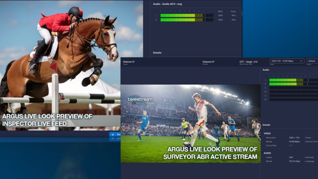 Telestream muscle ARGUS avec Live Look